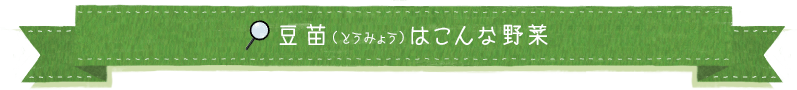 豆苗（とうみょう）はこんな野菜