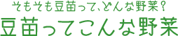 そもそも豆苗って、どんな野菜？ 豆苗ってこんな野菜