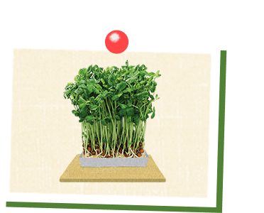 検証・整理