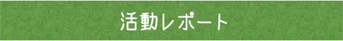 活動レポート