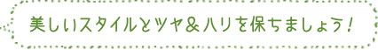美しいスタイルとツヤ＆ハリを保ちましょう！