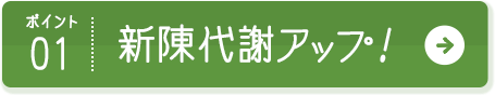 ポイント01 新陳代謝アップ！