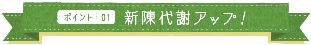 ポイント01 新陳代謝アップ！