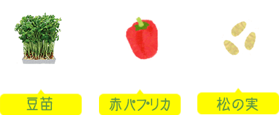 豆苗＋赤パプリカ＋松の実