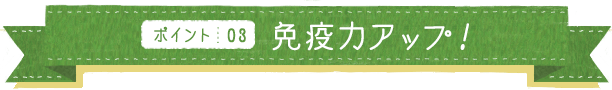 ポイント03 免疫力アップ！