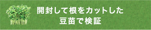 開封して根をカットした豆苗で検証