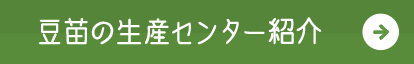 豆苗の生産センター紹介