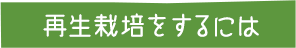 再生栽培するには