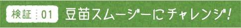検証01 豆苗スムージーにチャレンジ！