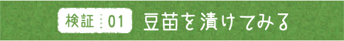 検証01 豆苗を漬けてみる