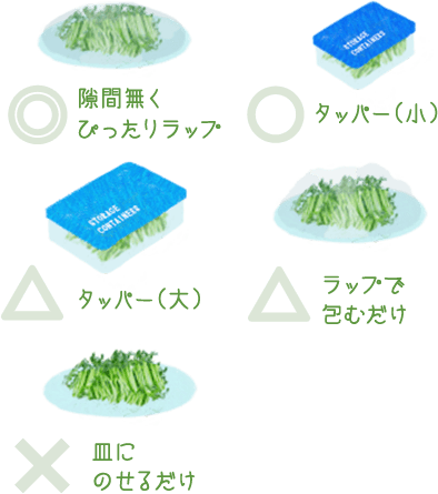 ◎隙間無くぴったりラップ ○タッパー（小） △タッパー（大） △ラップで包むだけ ×皿にのせるだけ