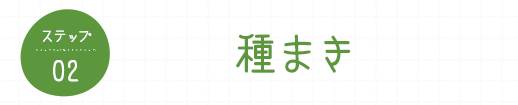 ステップ02 種まき