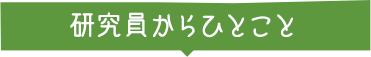 研究員からひとこと