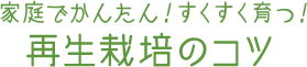 家庭でかんたん！すくすく育つ！ 再生栽培のコツ