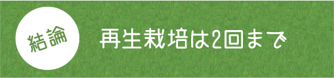 結論 再生栽培は2回まで