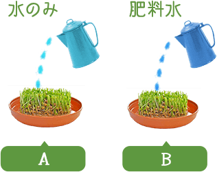 水のみ 肥料水