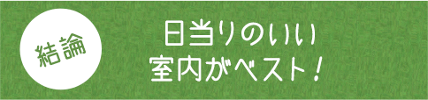 結論 日当りのいい室内がベスト！