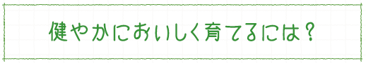 健やかにおいしく育てるには？