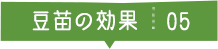 豆苗の効果05