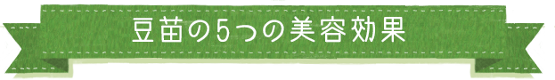 豆苗の５つの美容効果