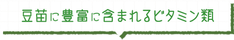 豆苗に豊富に含まれるビタミン類