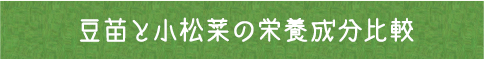 豆苗50gでとれるビタミン量と摂取基準 