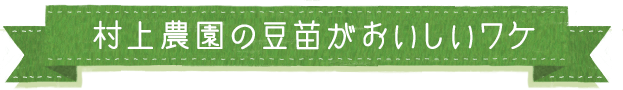 村上農園の豆苗がおいしいワケ