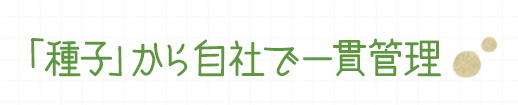 「種子」から自社で一貫管理