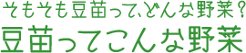 そもそも豆苗って、どんな野菜？ 豆苗ってこんな野菜