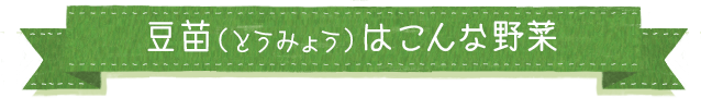 豆苗（とうみょう）はこんな野菜
