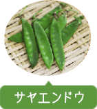 サヤエンドウ
