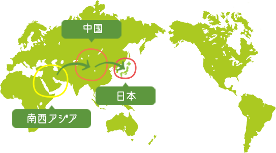 南西アジア→中国→日本
