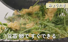 『のび〜るのびるのびる豆苗♪』