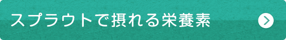 スプラウトで摂れる栄養素