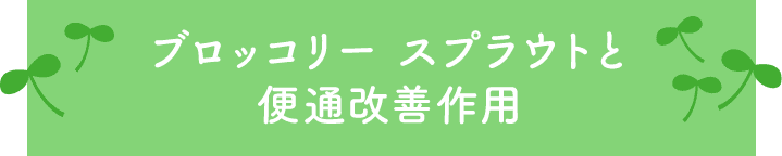ブロッコリー スプラウトと便通改善作用