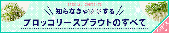 知らなきゃソンするブロッコリースプラウトのすべて