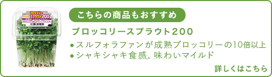 スルフォラファンを高濃度に含む発芽1週間目の「ブロッコリー スプラウト」についてはこちら