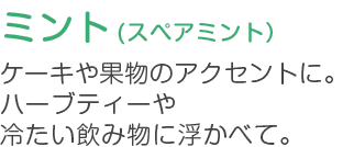 ミント (スペアミント） ケーキや果物のアクセントに。ハーブディーや冷たい飲み物に浮かべて。