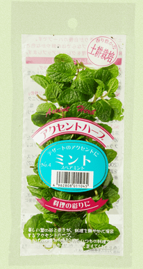 ミント (スペアミント）