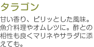 タラゴン 甘い香り、ビリッとした風味。魚介料理やオムレツに。酢との相性良くマリネやサラダに添えても。