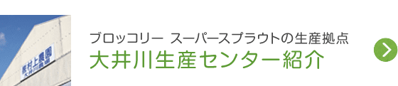 ブロッコリー スーパースプラウトの生産拠点 大井川生産センター紹介