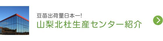 豆苗出荷量日本一！ 山梨北杜生産センター紹介