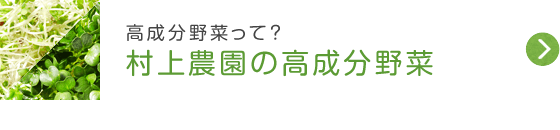 高成分野菜って？ 村上農園の高成分野菜