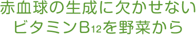 赤血球の形成を助けるビタミンB12を野菜から