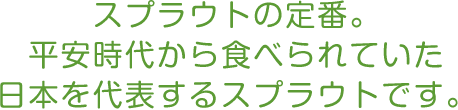 スプラウトの定番。平安時代から食べられていた日本を代表するスプラウトです。