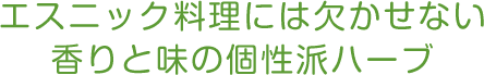 エスニック料理には欠かせない香りと味の個性派ハーブ