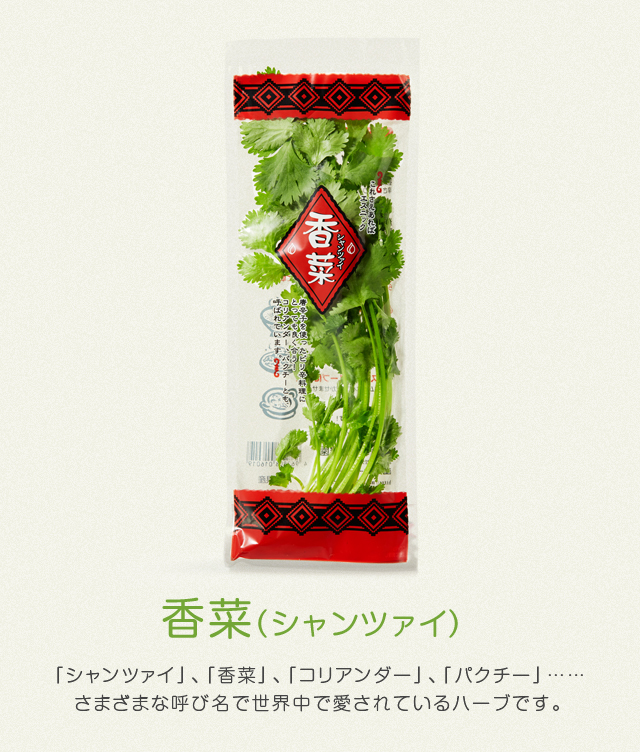 香菜