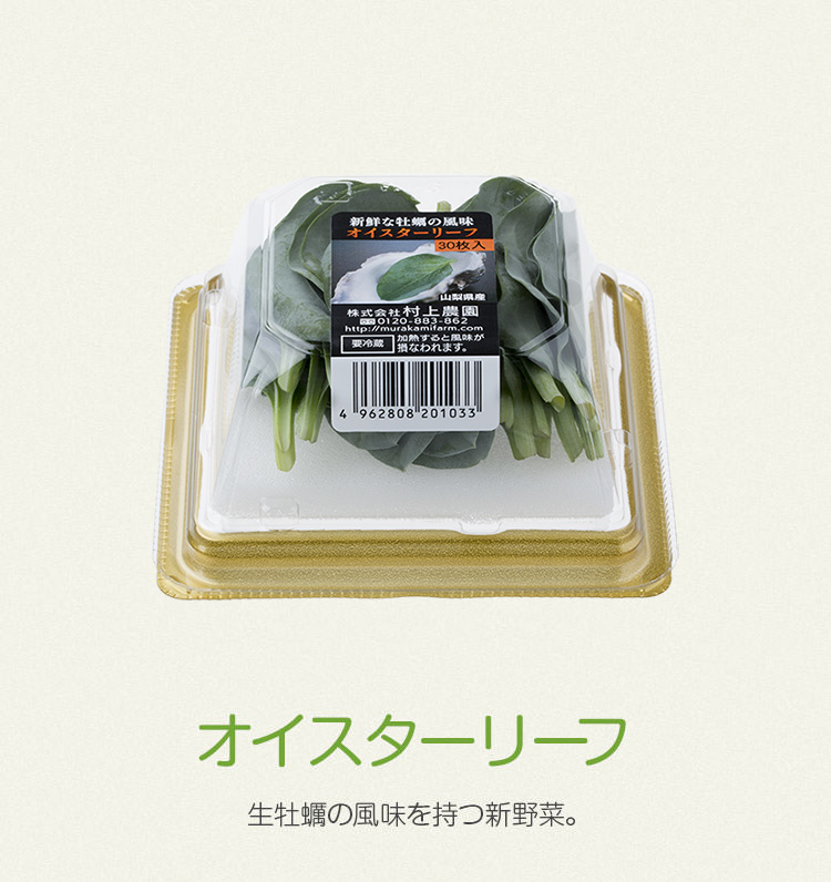 オイスターリーフ 生牡蠣の風味を持つ新野菜。