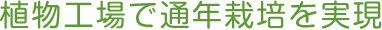 植物工場で通年栽培を実現