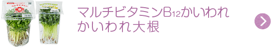 マルチビタミンB12かいわれ かいわれ大根